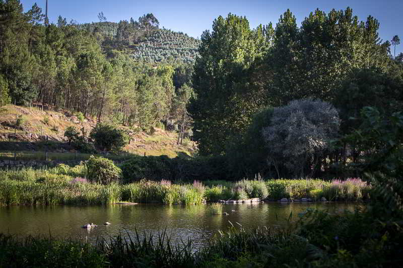 Casas Do Patio Country Houses & Nature Caldas da Felgueira Exteriér fotografie